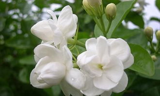 親子游 與孩子共赴超自然之境，探尋成長與教育的新維度